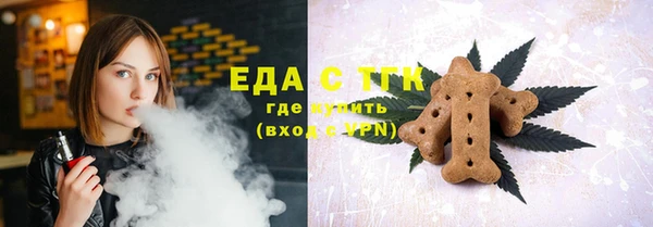дживик Бородино