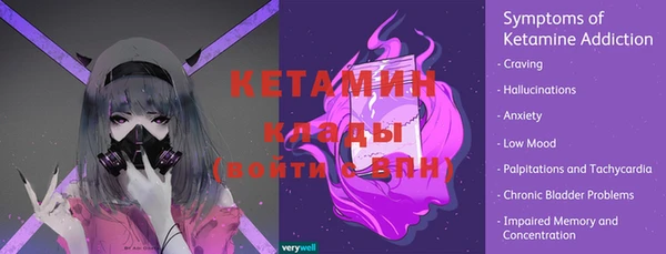 шишки Бронницы