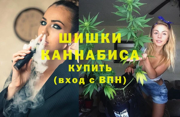 шишки Бронницы