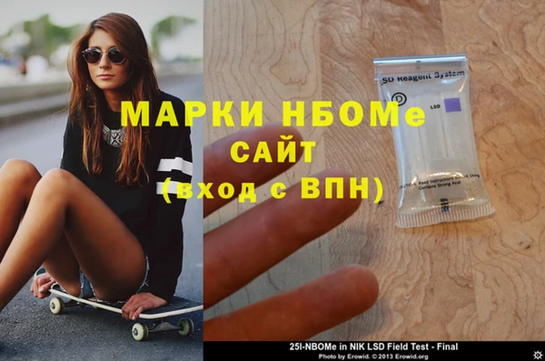 дживик Бородино