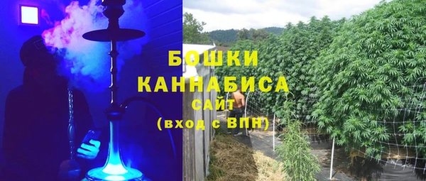шишки Бронницы