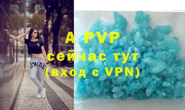 дживик Бородино
