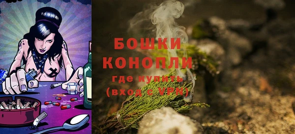 шишки Бронницы