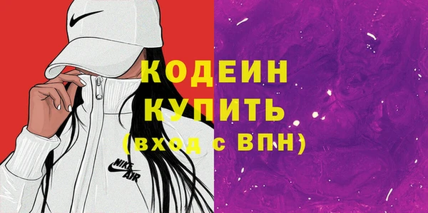 дживик Бородино
