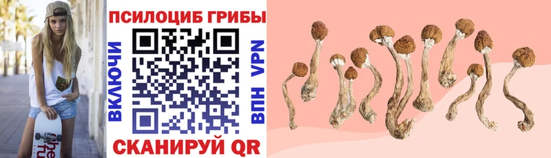 где найти наркотики Верхний Уфалей Галлюциногенные грибы Psilocybe